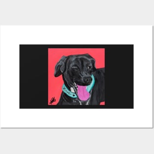 Winky Doxie Posters and Art